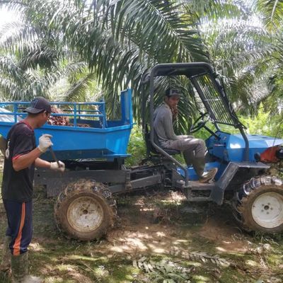 Sistema hidráulico Tractor de aceite de palma para plantaciones agrícolas de aceite de palma