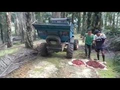 TRACTOR DEL ACEITE DE PALMA WEA08