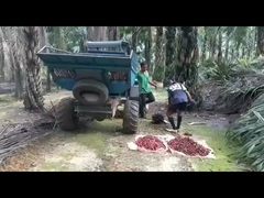 el peso abierto 1250kg de la segadora del aceite de palma del taxi de 1325m m con ataca
