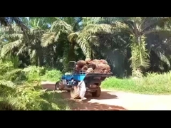 Sistema hidráulico Máquina tractor de aceite de palma para la extracción eficiente de aceite de palma