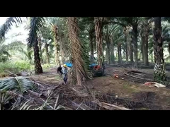 tractor del aceite de palma de la distancia entre ejes de 2150m m con capacidad agrícola del depósito de gasolina del neumático 11L