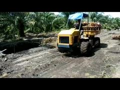 Mini tractor hidráulico de agricultura de 14 caballos de fuerza motor tractor de potencia para plantaciones de aceite de palma
